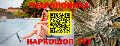 a pvp Обь