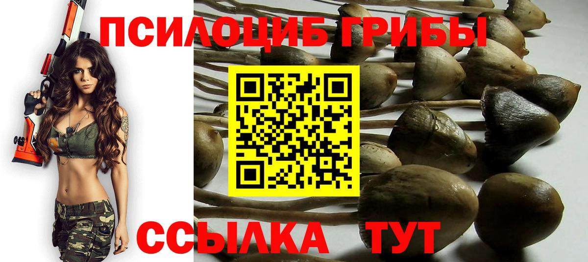 Псилоцибиновые грибы ЛСД  Вход с VPN  где продают   Северобайкальск 